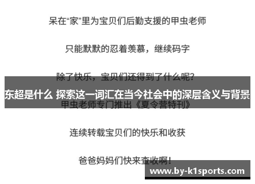 东超是什么 探索这一词汇在当今社会中的深层含义与背景