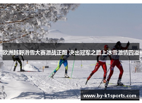欧洲越野滑雪大赛激战正酣 决出冠军之路上冰雪激情四溢