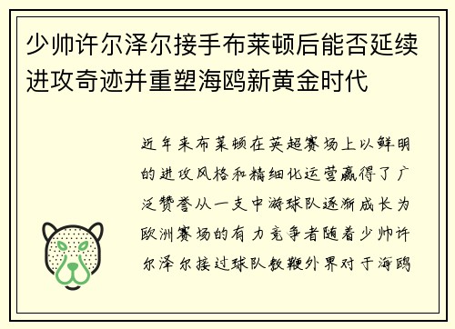 少帅许尔泽尔接手布莱顿后能否延续进攻奇迹并重塑海鸥新黄金时代